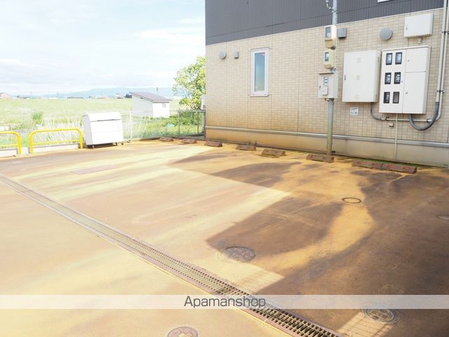 なでしこのその他写真