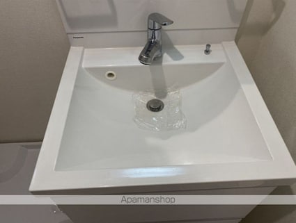 ハーモニーテラス北小岩Ⅷ[1R/17.81m2]の洗面所