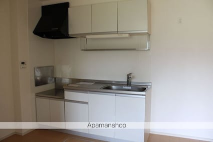 リバーサイド紫雲[2DK/44.75m2]のキッチン