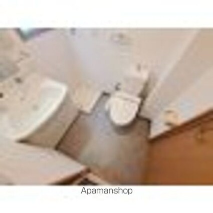 ブラッサム・ユー[1R/35.1m2]の洗面所