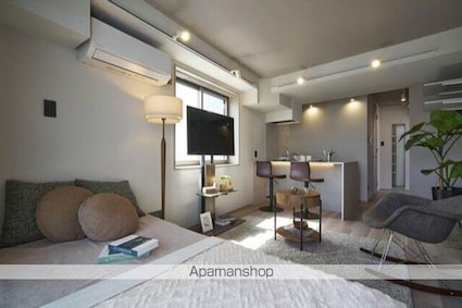 ｔｈｅ　ｔｒｉａｓ　ｋａｓｈｉｗａ[1R/20.5m2]のその他部屋・スペース