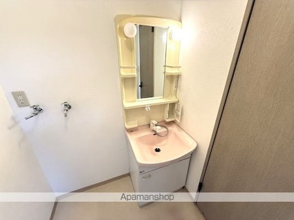 ルーヴルやまとⅡ[1LDK/44.71m2]の洗面所