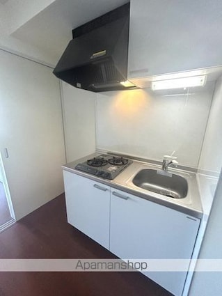 リバーサイドプレーヌ[1DK/31.05m2]のキッチン