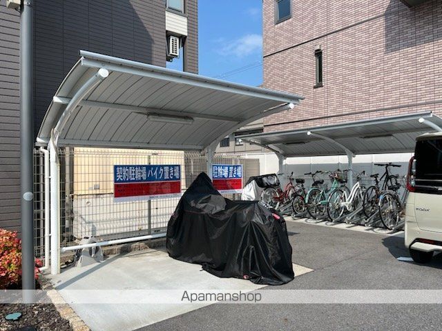 オリーブのその他写真
