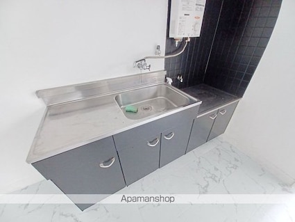 ＤＳハイツ蟻ケ崎[2DK/50m2]のキッチン