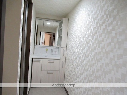 プロスペール桜城Ⅱ[3LDK/72.66m2]の洗面所