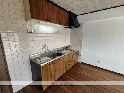 アウスレーゼⅡ[3LDK/69.55m2]のキッチン