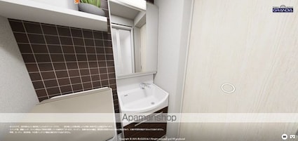 グリーンティエラ三井寺[1LDK/34.93m2]の洗面所