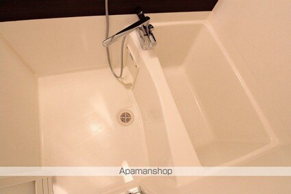 シェレナ北藤原[1K/27.04m2]の内装6