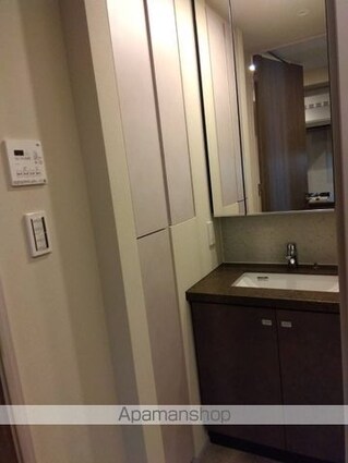 ザ・パークハビオ板橋区役所前[1K/27.21m2]の洗面所