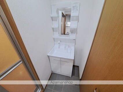 ブラウンハイム朝生田[1K/30.19m2]の洗面所