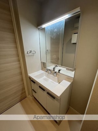 チップ[2LDK/71.51m2]の洗面所