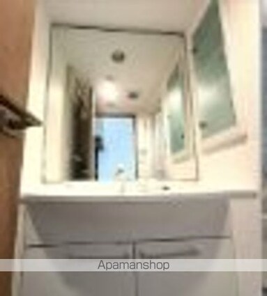 グローイングコート中野江原町[1LDK/64.13m2]の洗面所