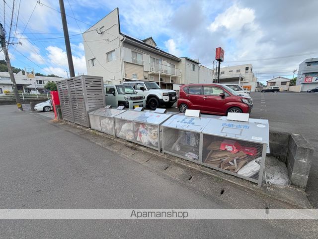 セルシスのその他写真