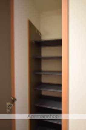 ソレアード小松島Ⅱ[1LDK/40m2]の内装5