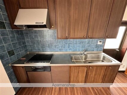 ラスパイユ高円寺[3LDK/69m2]のキッチン