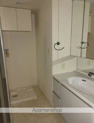 東京都府中市宮西町３丁目[1SLDK/62.54m2]の洗面所