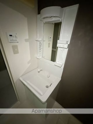 ブエナビスタ南草津[1K/26.6m2]の洗面所