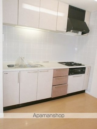 セイガステージ分倍河原Ⅱ[2SLDK/60.4m2]のキッチン