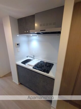 Ｓ－ＲＥＳＩＤＥＮＣＥ新宿早稲田ａｖｅｌｉｓ[1K/26.02m2]のキッチン