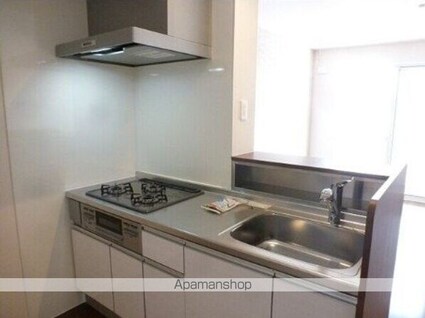 フルール[1LDK/48.78m2]のキッチン