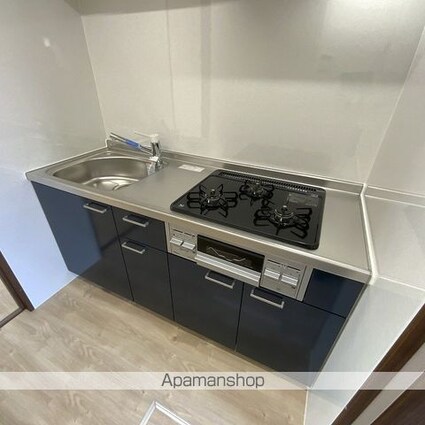 ラフィネ新井[1K/29.78m2]のキッチン