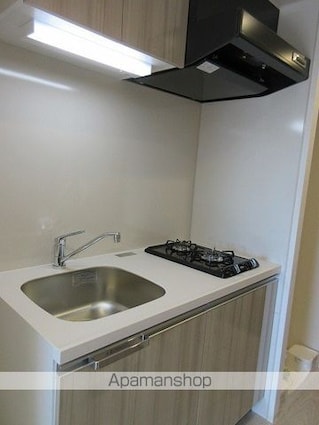 プレサンス岐阜ゼクシス[1K/21.83m2]のキッチン