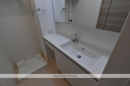 グレーヌメゾン[1K/27.5m2]の洗面所