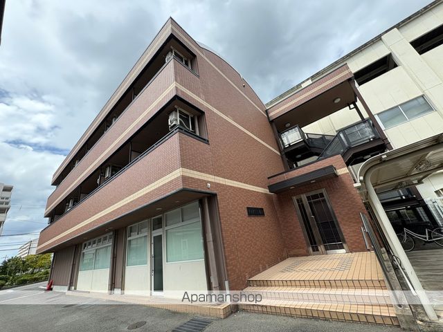 ティグリス枝川