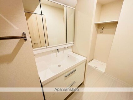 ＬＵＭＩＣＩＴＹ月島（ルミシティ月島）[2LDK/46.52m2]の洗面所