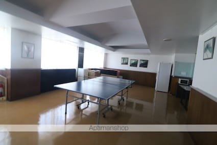 東京都武蔵野市境南町２丁目[1R/16.68m2]の共用部