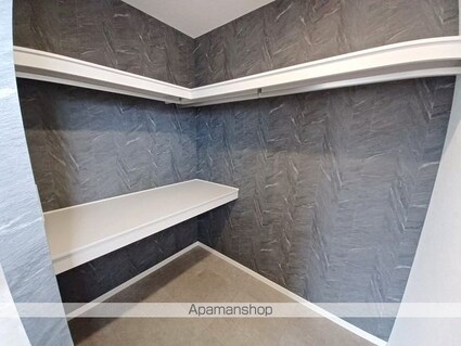 ディアスシャインＢ棟[1LDK/43.54m2]の収納