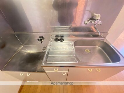 シェルメゾンダイチ[1LDK/42.93m2]のキッチン