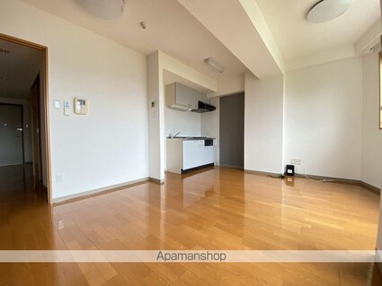 プレミュール[1LDK/42.38m2]の内装2