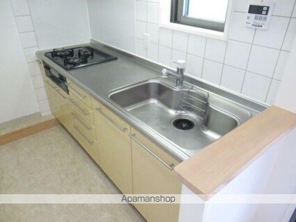 スカイグランデ京成小岩[1LDK/44.28m2]のキッチン