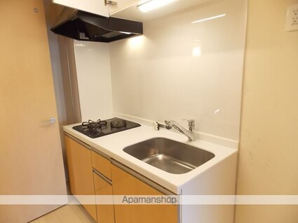 ゴールデンハイム水野[1R/30.2m2]のキッチン