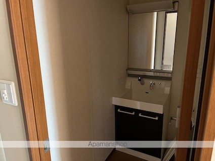 Ｐａｌａｚｚｏ　Ｈａｓｈｉｍｏｔｏ　３ｒｄ[1DK/33.1m2]の洗面所