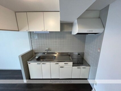 ロイヤルアネックスシエナ[3LDK/65.36m2]のキッチン