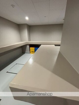 プレール・ドゥーク亀戸Ⅵ[1LDK/38.22m2]の共用部4
