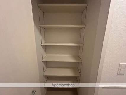 レスパスカルム[1LDK/42.59m2]の収納