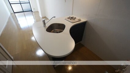 ロクス岡崎[1R/29.16m2]のキッチン