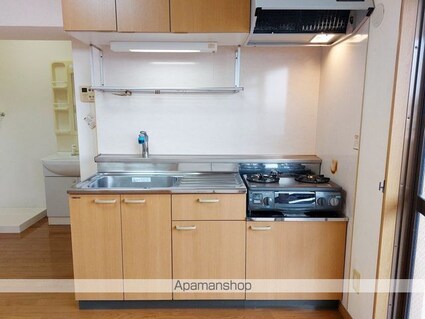 ハイツ立花[1DK/32m2]のキッチン