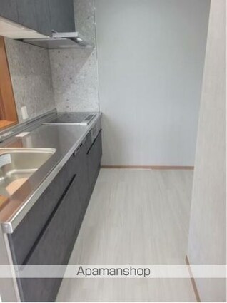 東京都新宿区新宿７丁目[2LDK/60.17m2]のキッチン