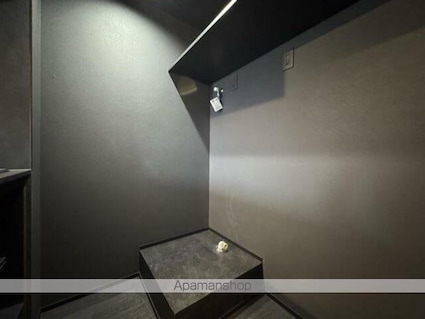 ｔｈｅ　ｔｒｉａｓ　ｋａｓｈｉｗａ[1K/20.2m2]の洗面所