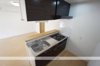 メゾンドール平和通[1LDK/44.55m2]のキッチン