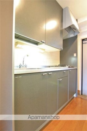 ヴィレッヂ上野[1K/22.8m2]のキッチン