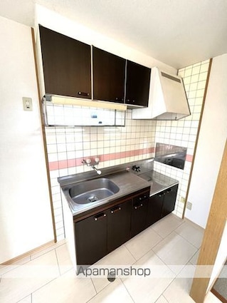 エクセレントシャトー[2DK/39.74m2]のキッチン