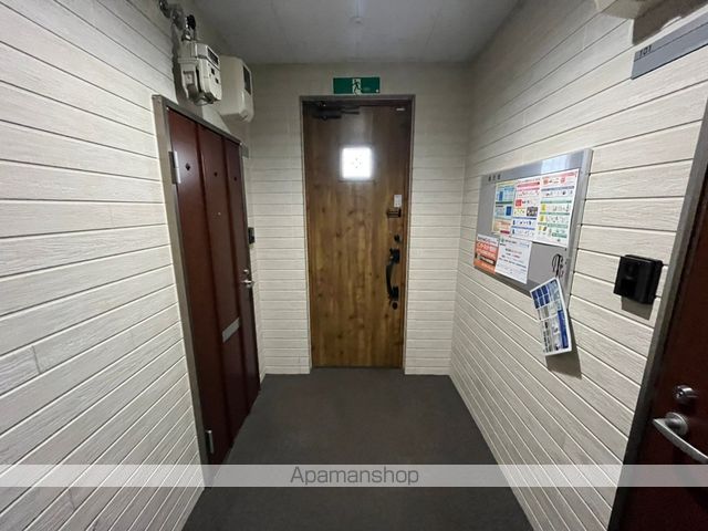 アビシニアンのその他写真