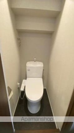 ＦＡＩＲ阿佐ヶ谷[1LDK/30.87m2]のトイレ