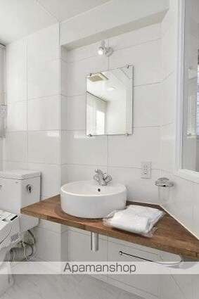 カスタリア銀座[1R/27.8m2]の洗面所